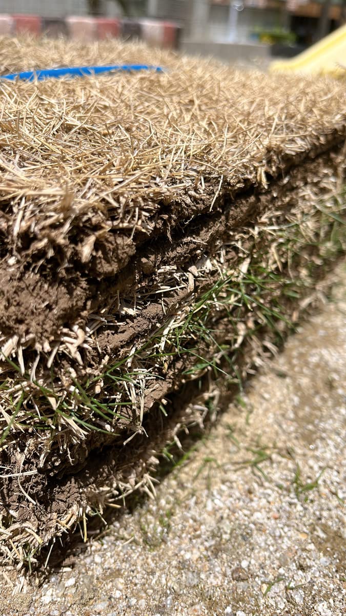 Amazon.co.jp: 姫高麗芝 30㎝X37㎝ 9枚入り 1平米分 4束 造園にも利用